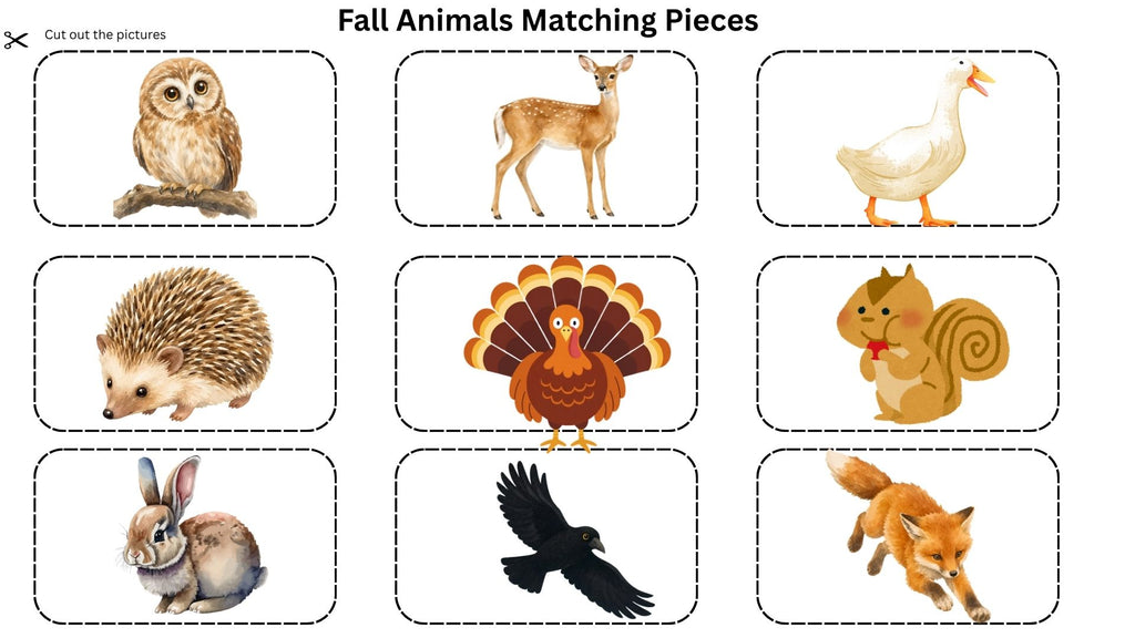 Fall Matching Boards for Special Education