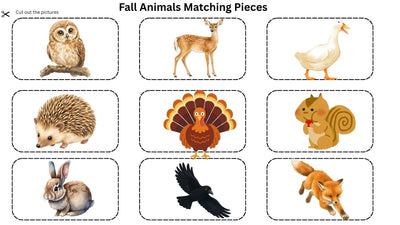 Fall Matching 8 Boards