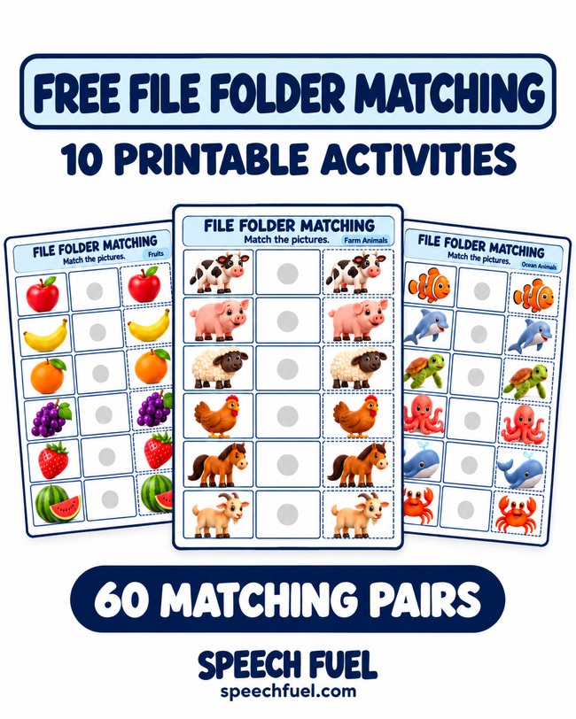 File Folder Matching Activities | 10 Printable Picture Matching Pages