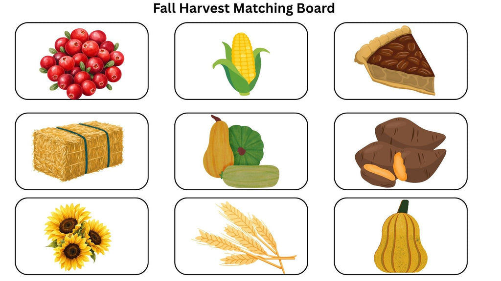 Fall Matching Boards for Special Education