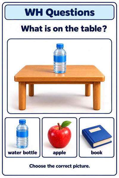 WH Questions Worksheets| 28 Printable Visual Cards