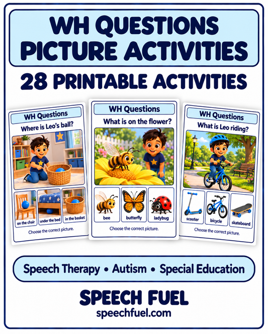 WH Questions Worksheets| 28 Printable Visual Cards