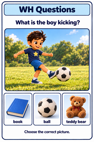 WH Questions Worksheets| 28 Printable Visual Cards